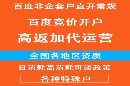 某企业通过百度SEM实现ROI最大化的案例